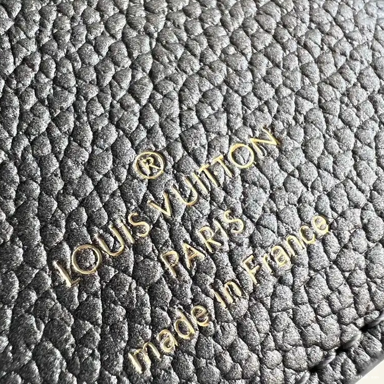 Brother sam 2411YA0223 Bags LV 0813